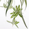 Mica Decorations Chlorophytum Kunstplant in Bloempot Stan - H45 x Ø45 cm - Groen