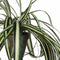 Mica Decorations Chlorophytum Kunstplant in Bloempot Stan - H45 x Ø45 cm - Groen