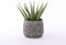 Mica Decorations Clemente Bloempot - H25,5 x Ø32 cm - Terracotta - Koper
