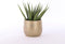 Mica Decorations Clemente Bloempot - H31 x Ø38 cm - Terracotta - Goud