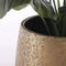 Mica Decorations Clemente Bloempot - H31 x Ø38 cm - Terracotta - Goud
