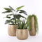 Mica Decorations Clemente Bloempot - H31 x Ø38 cm - Terracotta - Goud