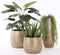 Mica Decorations Clemente Vaas - H35 x Ø17,5 cm - Terracotta - Goud