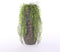 Mica Decorations Clemente Vaas - H55 x Ø21,5 cm - Terracotta - Koper
