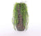 Mica Decorations Clemente Vaas - H55 x Ø21,5 cm - Terracotta - Koper