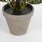 Mica Decorations Croton Kunstplant in Bloempot Stan - H73 x Ø40 cm - Bont