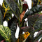 Mica Decorations Croton Kunstplant in Bloempot Stan - H73 x Ø40 cm - Bont
