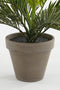 Mica Decorations Cycas Palm Kunstplant in Bloempot Stan - H33 x Ø34 cm - Groen