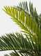 Mica Decorations Cycas Palm Kunstplant in Bloempot Stan - H33 x Ø34 cm - Groen