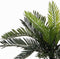 Mica Decorations Cycas Palm Kunstplant in Bloempot Stan - H33 x Ø34 cm - Groen