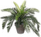 Mica Decorations Cycas Palm Kunstplant in Bloempot Stan - H37 x Ø44 cm - Groen