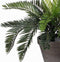 Mica Decorations Cycas Palm Kunstplant in Bloempot Stan - H37 x Ø44 cm - Groen
