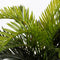 Mica Decorations Cycas Palm Kunstplant in Bloempot Stan - H37 x Ø44 cm - Groen