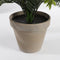 Mica Decorations Cycas Palm Kunstplant in Bloempot Stan - H37 x Ø44 cm - Groen