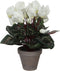 Mica Decorations Cyclaam Kunstplant in Bloempot Stan - H30 x Ø30 cm - Wit