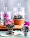 Mica Decorations Cyclaam Kunstplant in Bloempot Stan - H30 x Ø30 cm - Lichtroze
