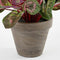 Mica Decorations Cyclaam Kunstplant in Bloempot Stan - H30 x Ø30 cm - Lichtroze