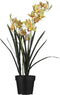 Mica Decorations Cymbidium Kunstplant - H92 x Ø19 cm - Pot - Groen