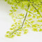 Mica Decorations Cypres Kunst Hangplant - H95 cm - Groen