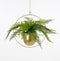Mica Decorations Dexter Bloempot Hangend - L34 x B14 x H65 cm - Goud