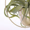 Mica Decorations Dexter Bloempot Wand - L34 x B14 x H34 cm - Goud