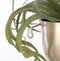 Mica Decorations Dexter Bloempot Wand - L34 x B14 x H34 cm - Goud