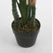 Mica Decorations Dieffenbachia Kunstplant - H105 x Ø85 cm