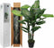 Mica Decorations Dieffenbachia Kunstplant - H105 x Ø85 cm