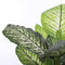 Mica Decorations Dieffenbachia Kunstplant - H105 x Ø85 cm