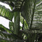 Mica Decorations Dieffenbachia Kunstplant - H105 x Ø85 cm