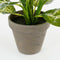 Mica Decorations Dieffenbachia Kunstplant in Bloempot Stan - H40 x Ø30 cm - Groen