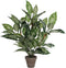 Mica Decorations Dieffenbachia Kunstplant in Bloempot Stan - H70 x Ø55 cm - Groen