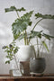 Mica Decorations Douro Bloempot - H18 x Ø20 cm - Terracotta - Groen