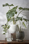 Mica Decorations Douro Bloempot - H23 x Ø26 cm - Terracotta - Off White