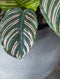 Mica Decorations Douro Bloempot - H25 x Ø29 cm - Terracotta - Lichtgrijs