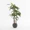 Mica Decorations Dracaena Kunstplant - H100 x Ø70 cm