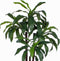 Mica Decorations Dracaena Kunstplant - H100 x Ø70 cm