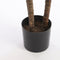 Mica Decorations Dracaena Kunstplant - H100 x Ø70 cm