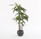 Mica Decorations Dracaena Kunstplant - H100 x Ø70 cm