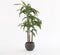Mica Decorations Dracaena Kunstplant - H100 x Ø70 cm
