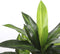 Mica Decorations Dracaena Kunstplant - H110 x Ø60 cm