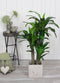 Mica Decorations Dracaena Kunstplant - H110 x Ø60 cm