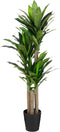 Mica Decorations Dracaena Kunstplant - H150xØ60 cm - Pot - Groen