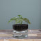 Mica Decorations Elements Bloempot met Bewateringssysteem - H22 x Ø19 cm - Glas