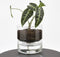 Mica Decorations Elements Bloempot met Bewateringssysteem - H22 x Ø19 cm - Glas