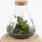 Mica Decorations Emily Voorraadpot - H24,5 x Ø22,5 cm - Gerecycled Glas - Transparant