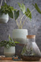 Mica Decorations Emily Voorraadpot - H24,5 x Ø22,5 cm - Gerecycled Glas - Transparant