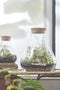 Mica Decorations Emily Voorraadpot - H24,5 x Ø22,5 cm - Gerecycled Glas - Transparant