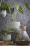 Mica Decorations Emily Voorraadpot - H32 x Ø30 cm - Gerecycled Glas - Transparant