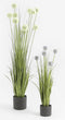 Mica Decorations Era Bloempot - H14,5 x Ø17,5 cm - Mat - Donkergrijs